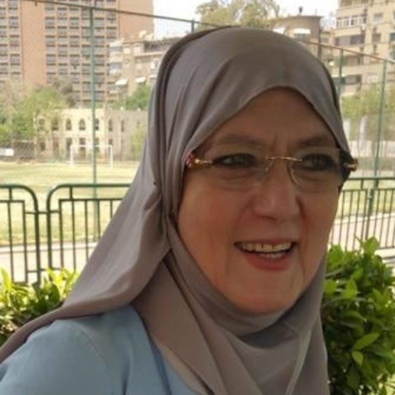 شمس البارودي