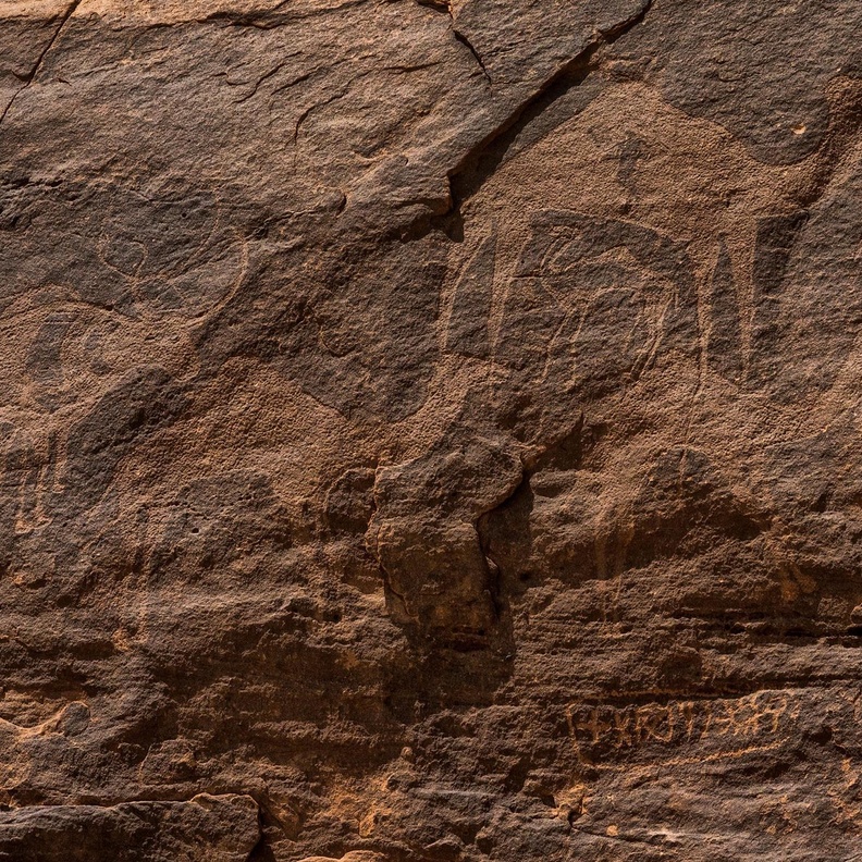 منطقة حمى الأثرية.. أكبر مجمعات الفن الصخري في العالم ووجهة تاريخية لا مثيل لها