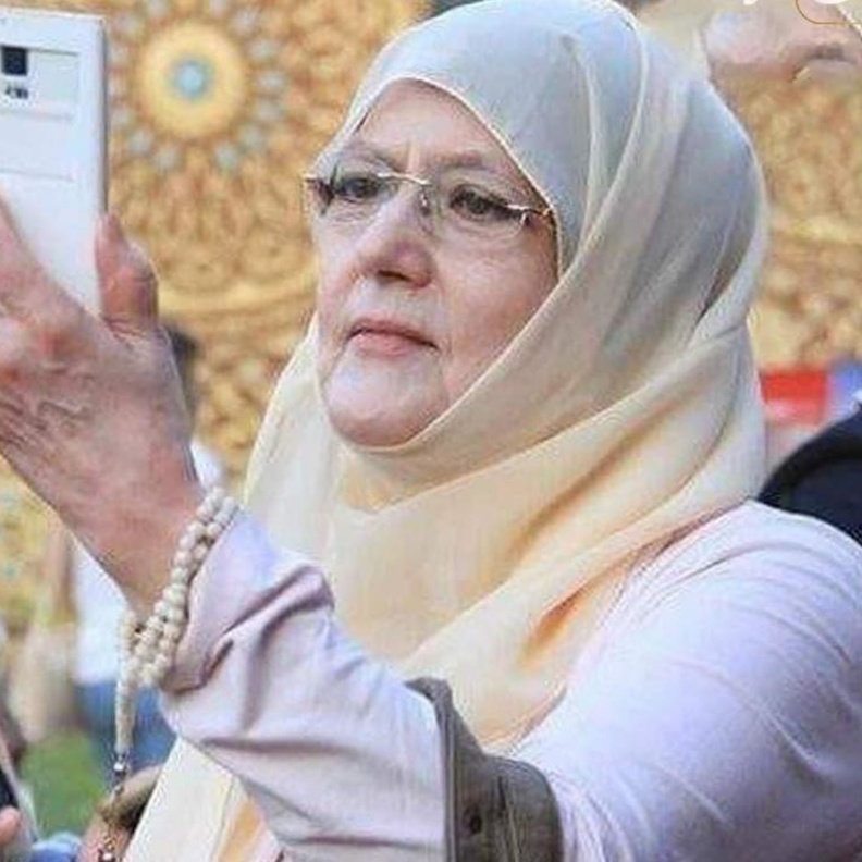 شمس البارودي