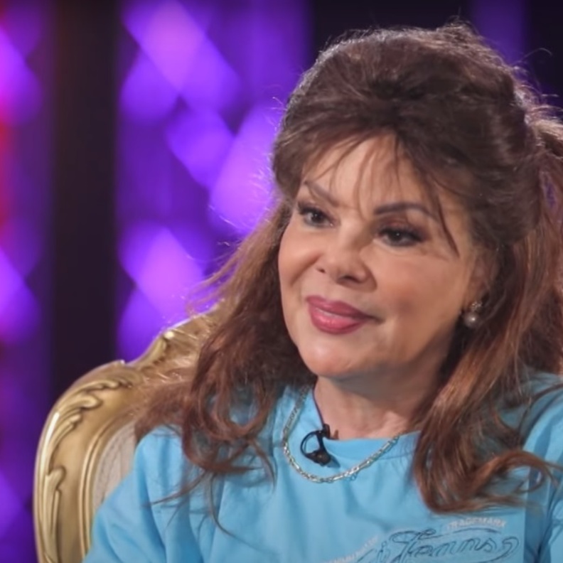 الفنانة صفاء أبو السعود