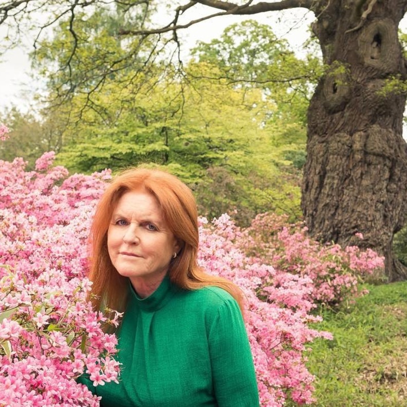 دوقة يورك تعلن عن تأسيسها لنادي قراءة للكتب التاريخية الرومانسية