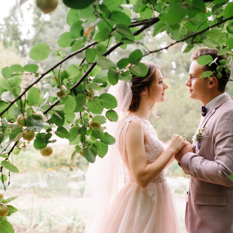 shutterstock_أفكار رائعة لإضافة التفاح لحفل زفافك الخريفي