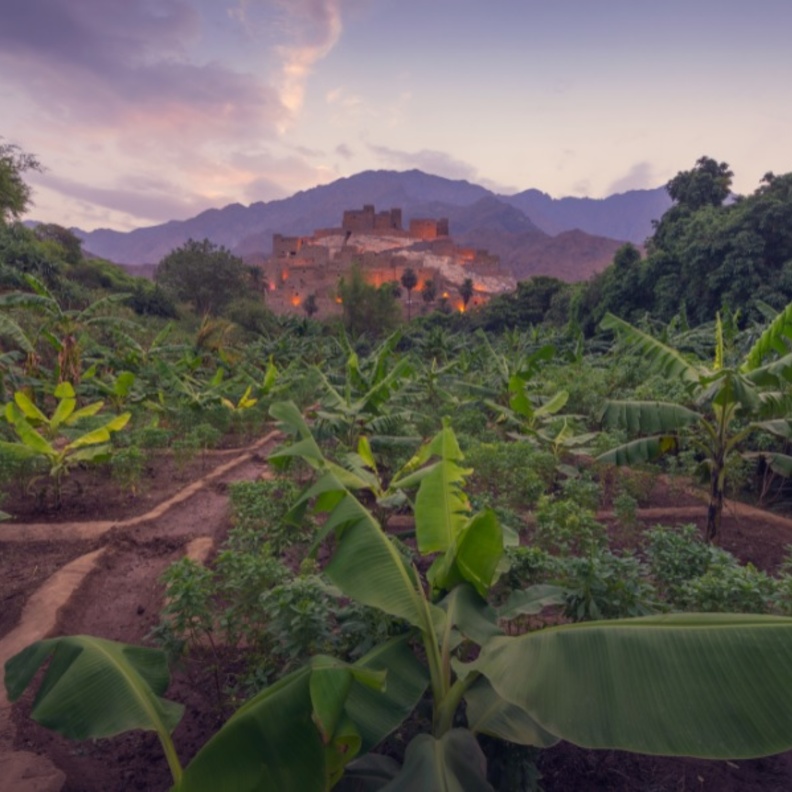 أرض الباحة غنية بالخيرات، ومحاطة بأجمل التضاريس - المصدر روح السعودية