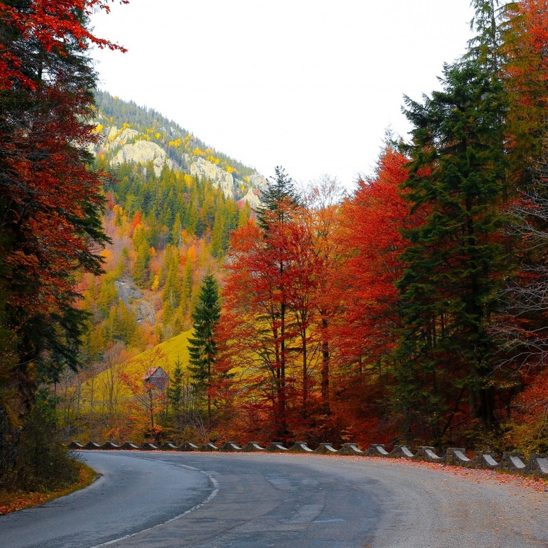 خطط بذكاء للعطلة هذا الخريف بواسطة pxhere