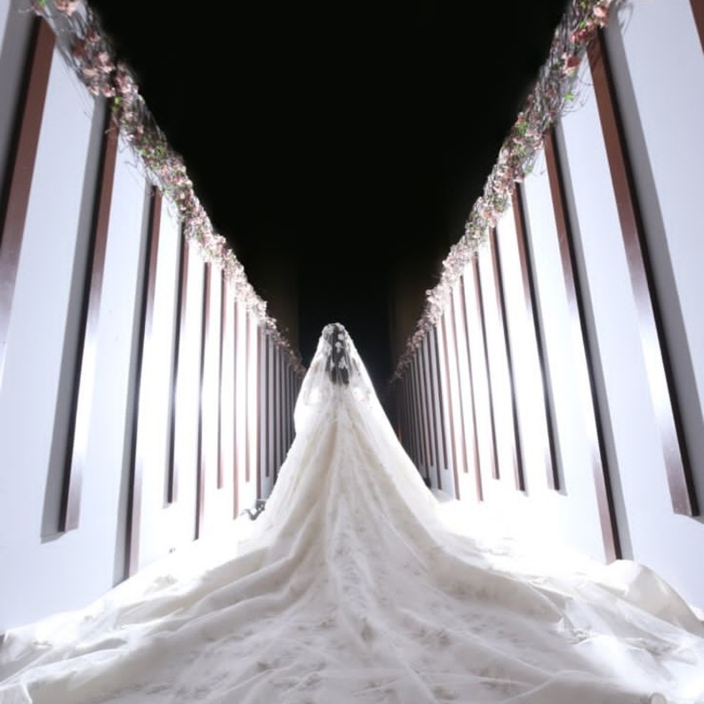 فساتين زفاف مع ذيل طويل انستقرام@fatima_alabdulqader