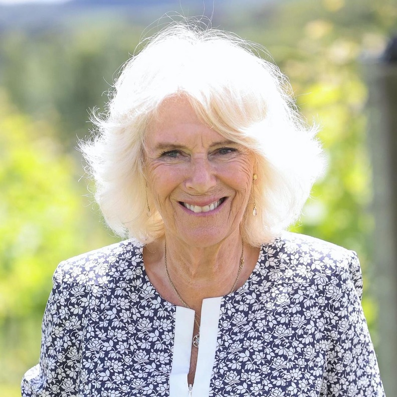 ماذا قالت كاميلا باركر في مقالها عن العنف المنزلي؟