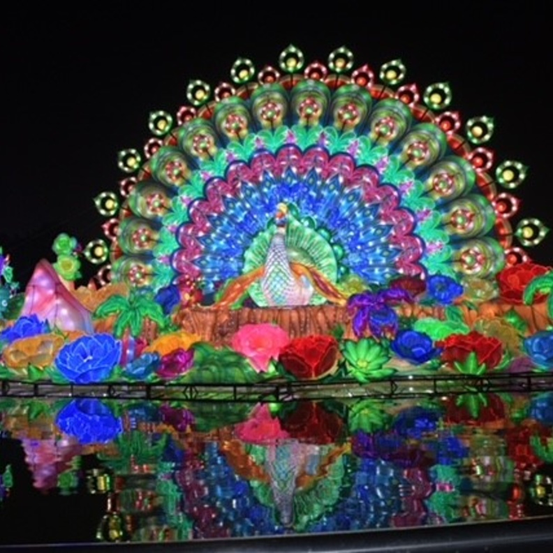 أجواء ساحرة في الموسم السابع من حديقة دبي المتوهجة "جاردن جلو"