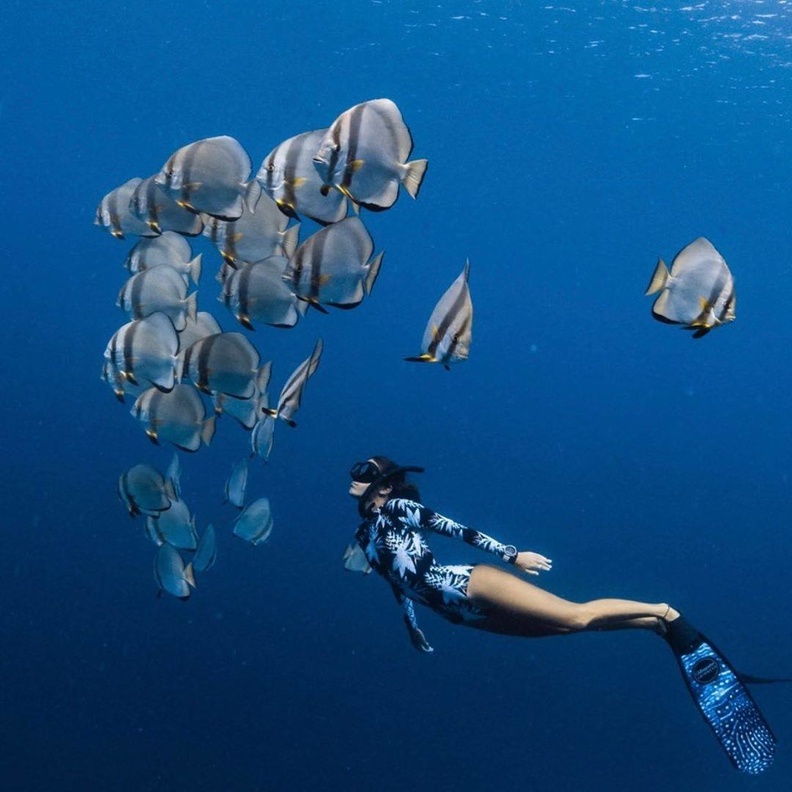 فري دايفينج.. تجربة تحبس الأنفاس لعشاق الغوص في أبوظبي  