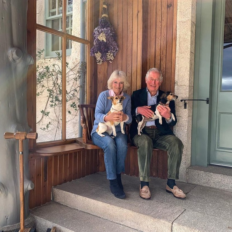 من هم أفراد العائلات الملكية اللذين تزوجوا بعد طلاقهم؟