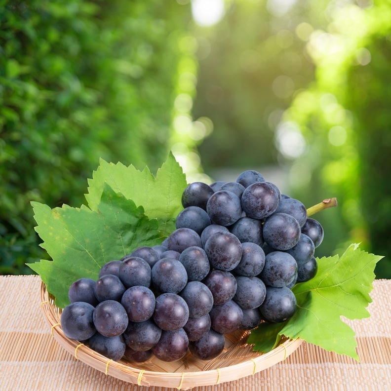 أفضل فاكهة لصحة الأمعاء ما هي