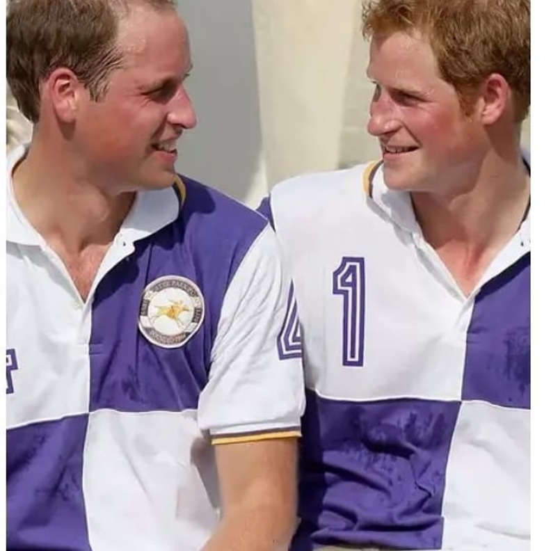 الأمير وليام  يخطط لمنع الأمير هاري من حضور مراسم تتويجه ملك لبريطانيا