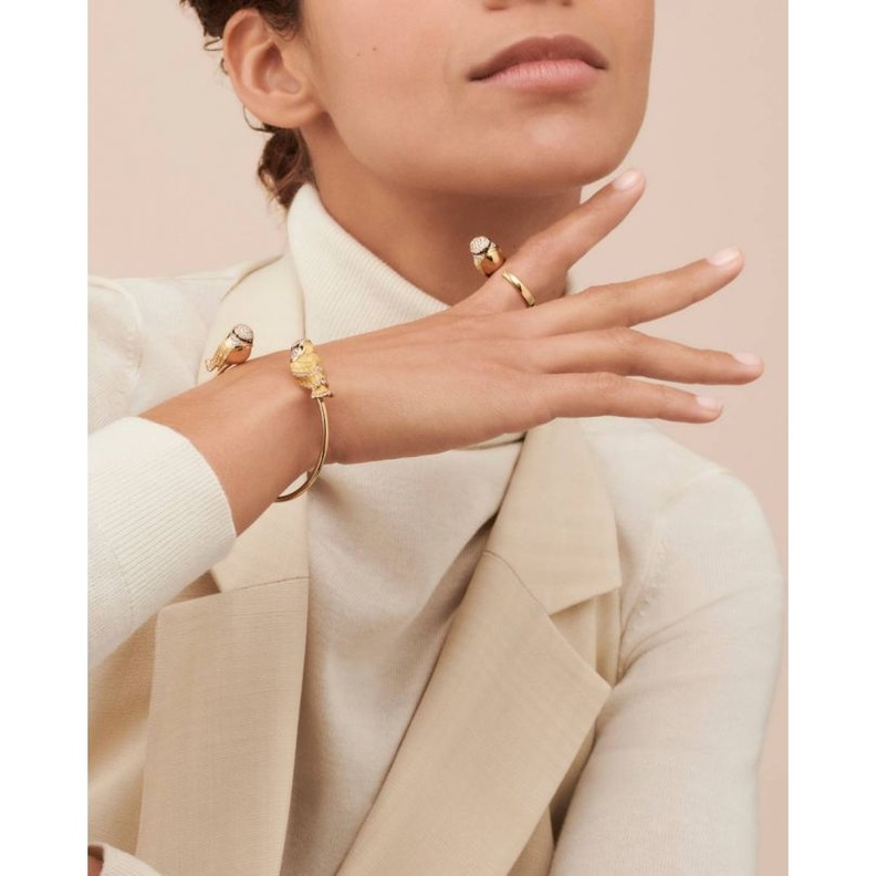 الصورة الرئيسية من موقع بوشرون