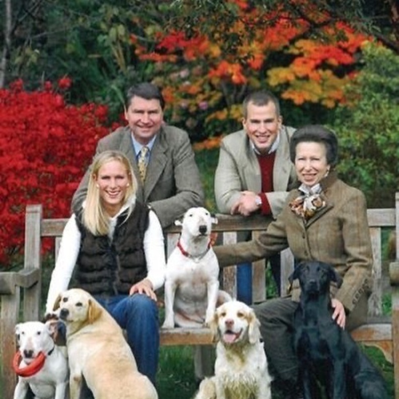 جائزة ميدالية الأميرة الملكية الفضية