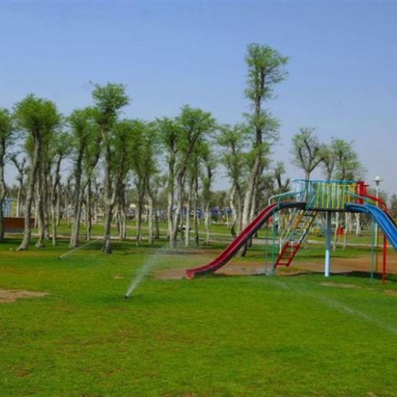 حديقة صقر الساحرة.. أجواء خلابة وتجربة ترفيهية ممتعة للأسرة الإماراتية