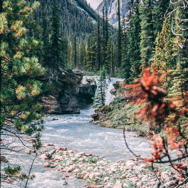 زيارة غابة ثلجية ساحرة في بانف في كندا (1)