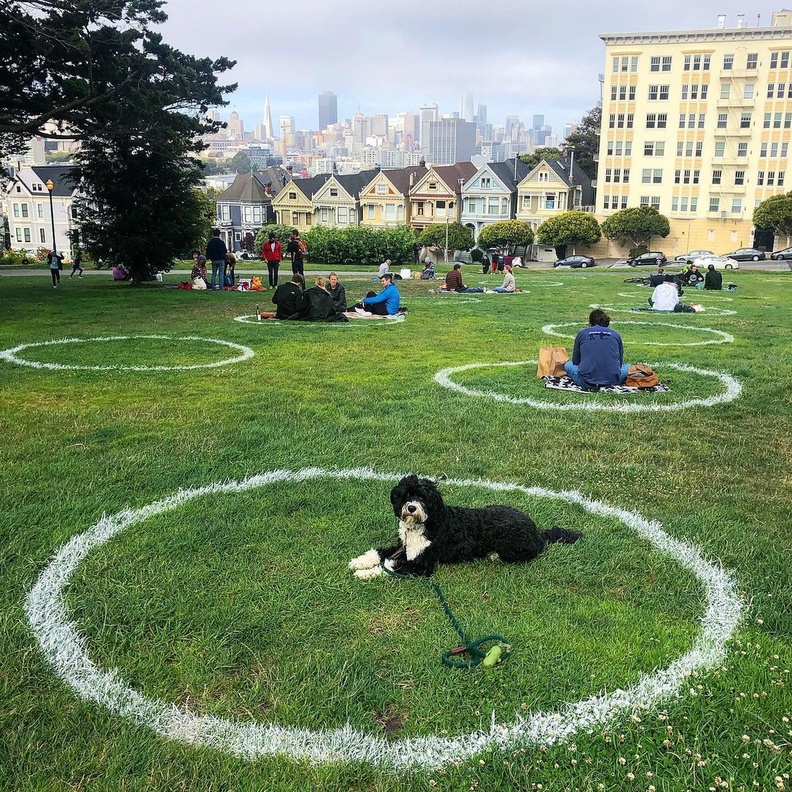ساحة ألامو Alamo Square