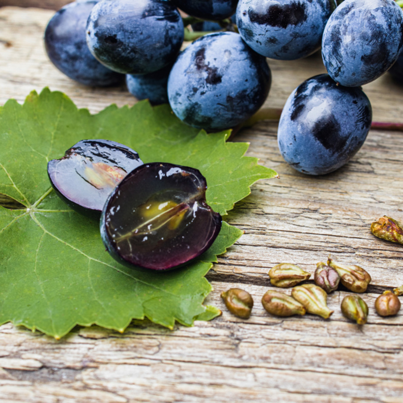 ما هي فوائد بذور العنب للتخسيس