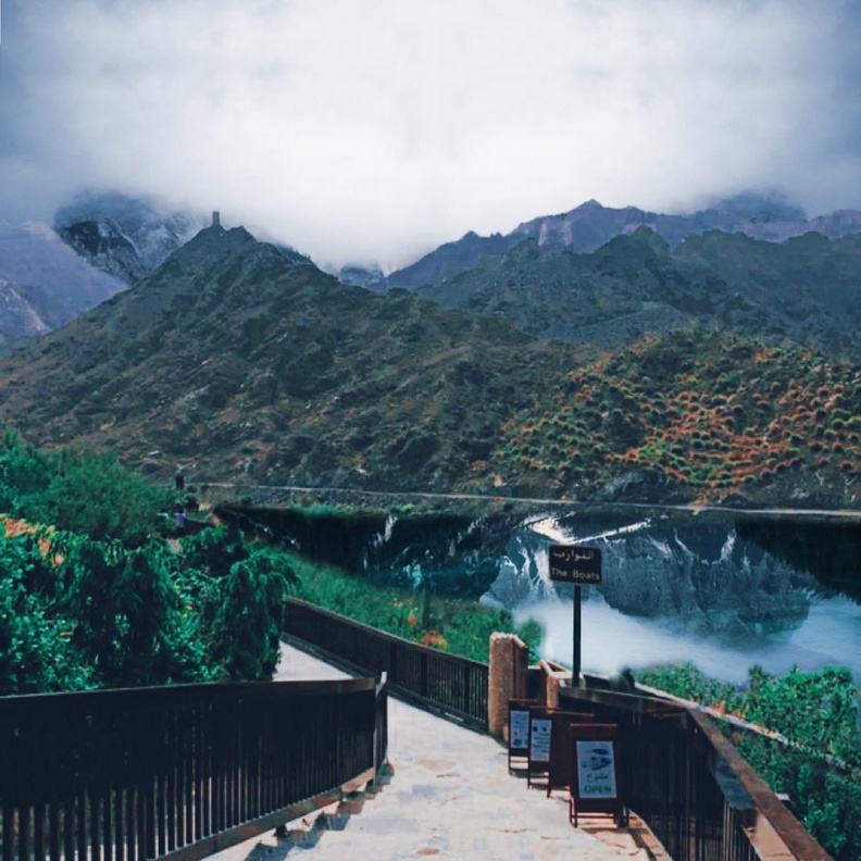 طبيعة لا تقاوم في محيط سد الرفيصة - المصدر @sumaya94a