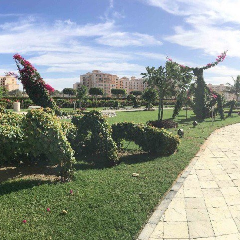 وتجربة ساحرة لعشاق الاستجمام في حديقة الفنون الخضراء - المصدر مشاريع السعودية