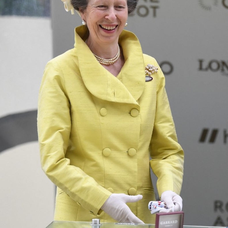 الأميرة الملكية آن تنفذ 368 مشاركة رسمية هذا العام