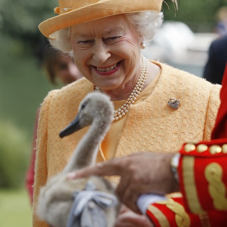 أغرب الوظائف في قصر باكنغهام