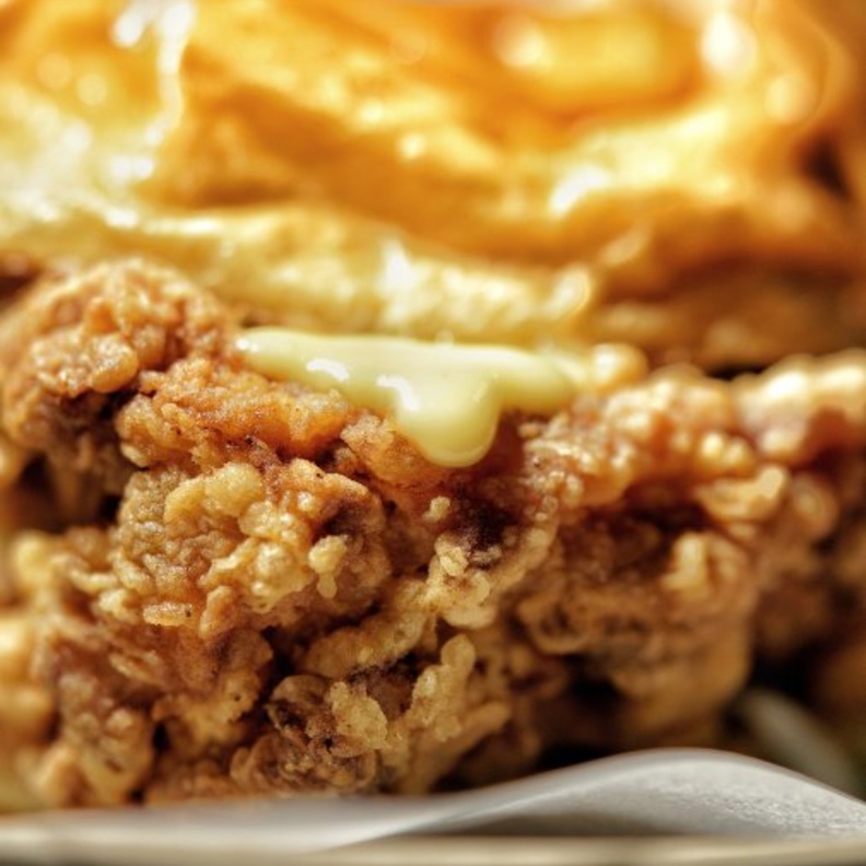 "جولد شيكس" في "جولد فيش"