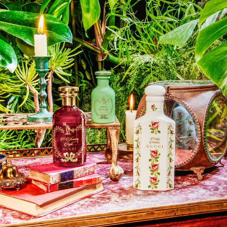 مجموعة THE ALCHEMIST’S GARDEN تكشف النقاب عن عطرA GLOAMING NIGHT