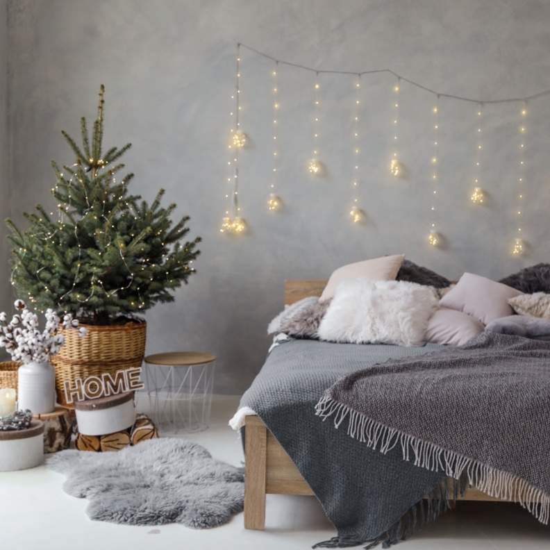 أحواض نباتات تضيف لمسة من الطبيعة على غرف النوم الشتوية