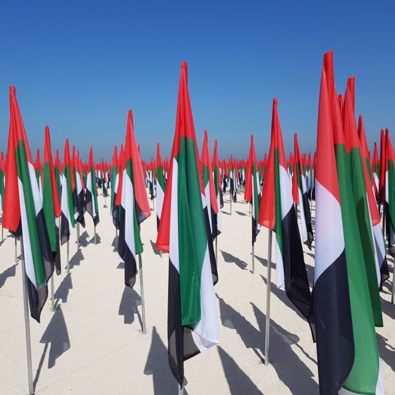 أبرز الإنجازات الطبية الإماراتية بمناسبة اليوم الوطني الإماراتي