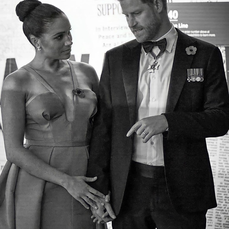 هاري وميغان يجدان صعوبة كبيرة في التحول لشخصيات مؤثرة داخل المجتمع الأمريكي