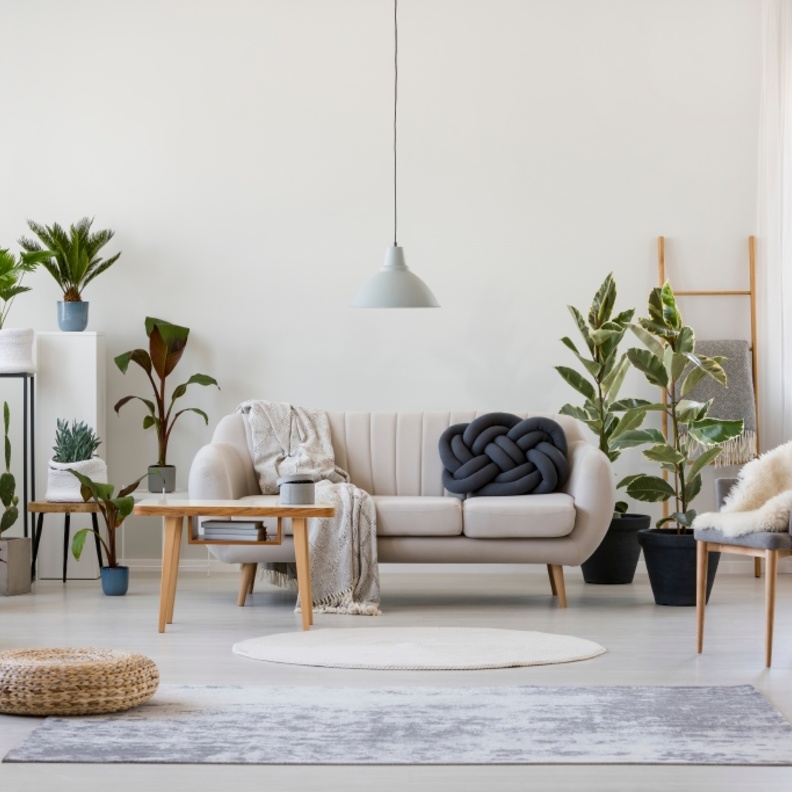 أحواض النباتات تزيين غرف معيشة 2022