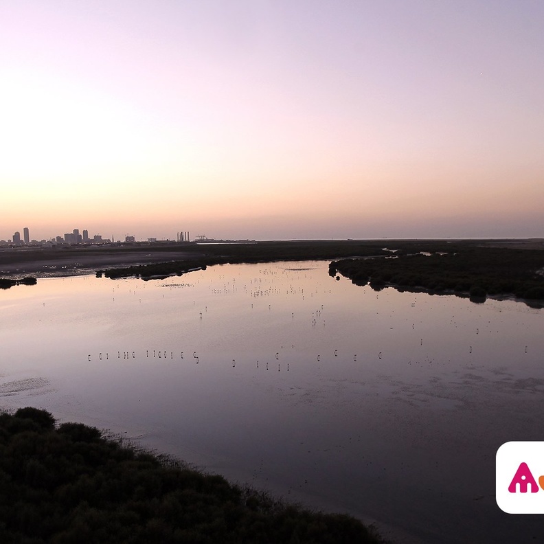 خور عجمان.. عش تجربة لا تنسى في أحضان الطبيعة الخلابة بالإمارات
