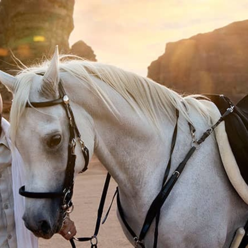 فعاليات ساحرة بانتظاركم في أحضان العلا.. إليكم قائمة بأحدث الفعاليات