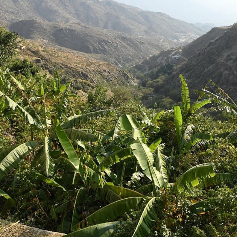 لقطة ساحرة من وادي الغيل - المصدر واس