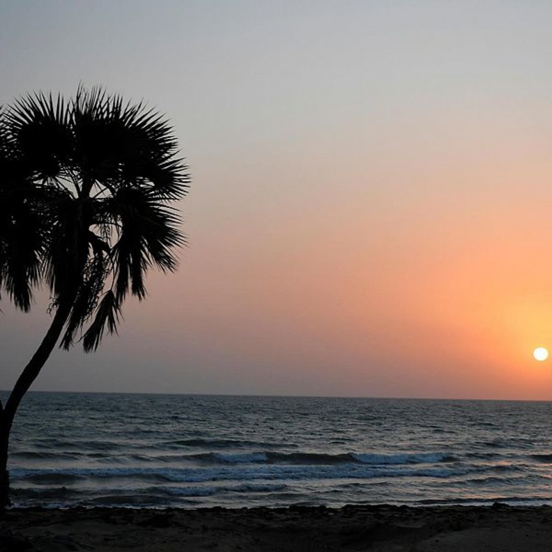 سواحل منطقة عسير.. تجربة ساحرة للتمتع بدفء الطبيعة في أحضان الأمواج