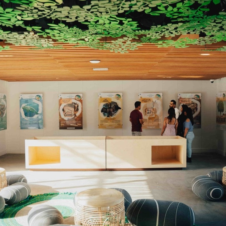 منتجع باب النجوم المغيرة.. متعة الاستجمام في أحضان الطبيعة في الظفرة