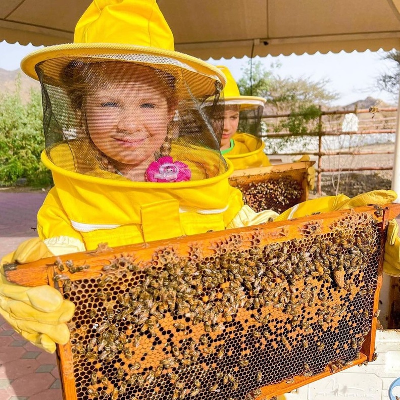 حديقة النحل في حتا.. تجربة مثالية للاستجمام في أحضان الطبيعة الخلابة