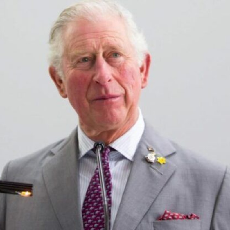 مصدر الأمير تشارلز وجه دعوة للأمير هاري وأسرته لزيارته في المملكة المتحدة