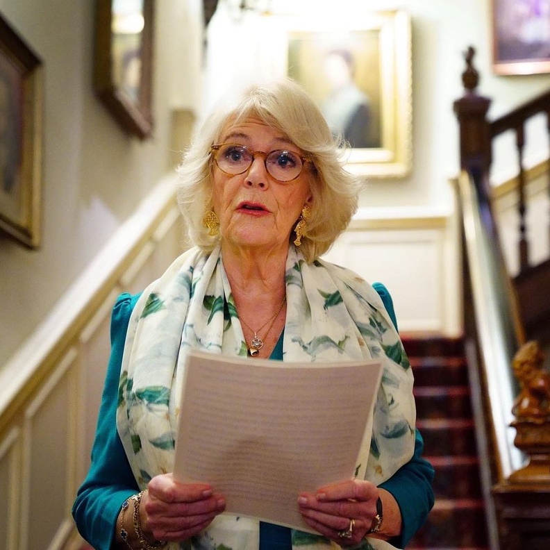 دوقة كورنوال تطالب بإنهاء العنف المنزلي في حفل استقبال خيري