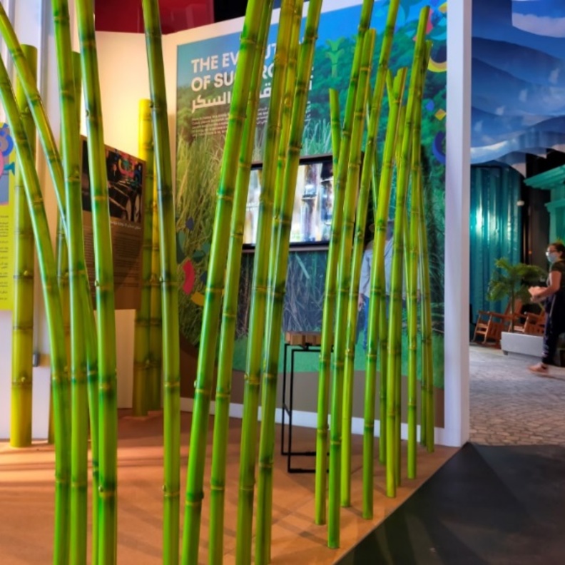 جناح كوبا ينبض بالحياة في إكسبو 2020 دبي.. تجربة رائعة بانتظار الزوار