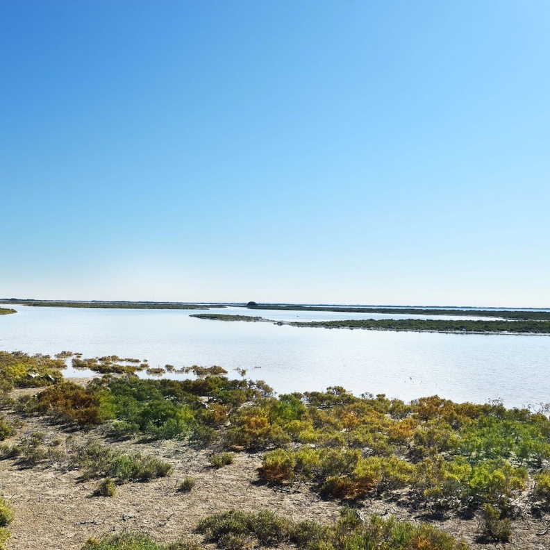 شاطئ القرم.. أجواء خلابة لعشاق الطبيعة والرياضات البحرية بالإمارات