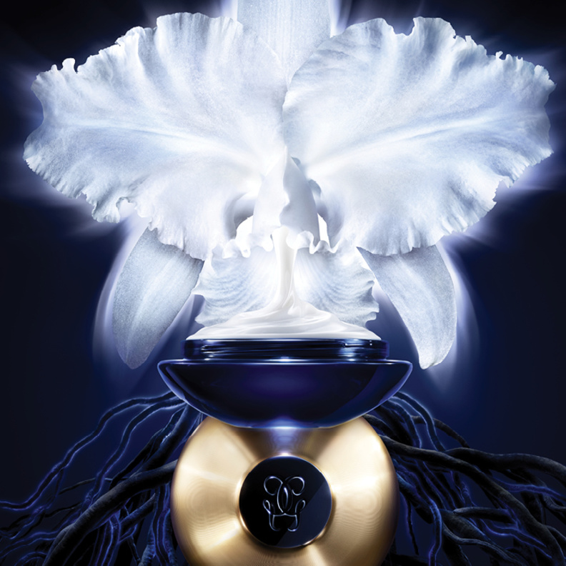  كريم أوركيدي أمبريال من جيرلان يكشف عن سرّ الديمومة المطلقة 