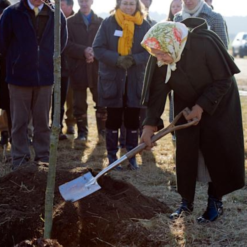 زراعة عشرات الآلاف من الأشجار الجديدة بمناسبة اليوبيل البلاتيني للملكة