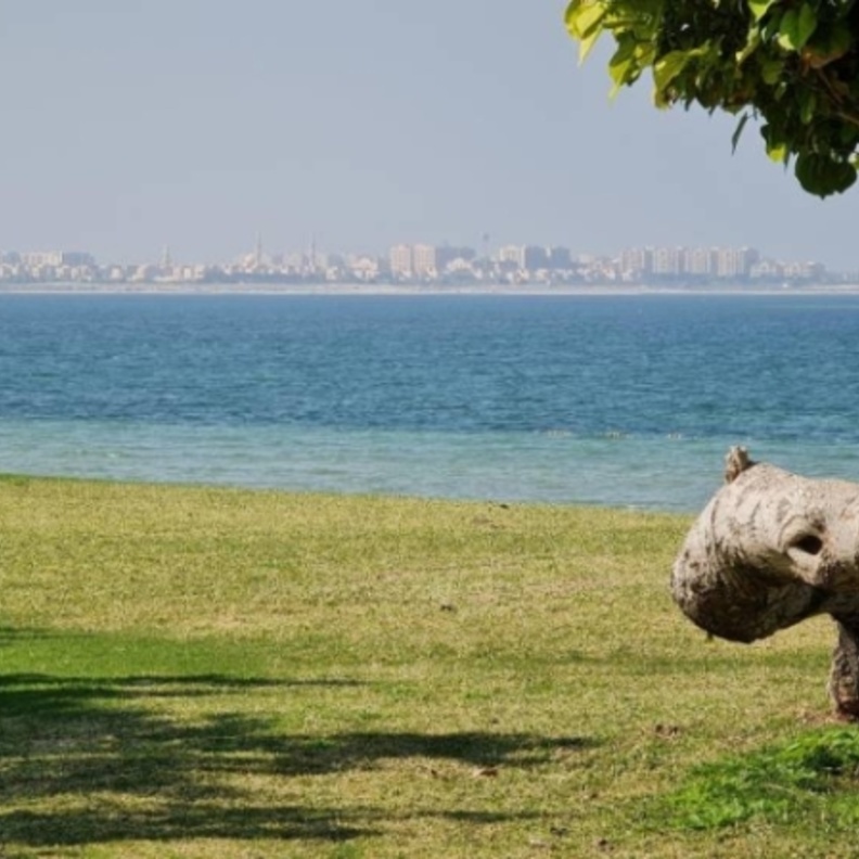 مدينة الجبيل.. أجواء بحرية خلابة وأوقات ممتعة للشباب والعائلات