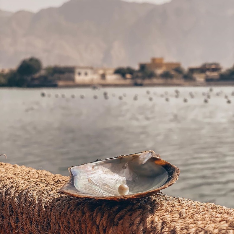 مزرعة لآلئ السويدي.. تجربة ممتعة في أعماق البحر للتعرف على تاريخ اللؤلؤ بالإمارات