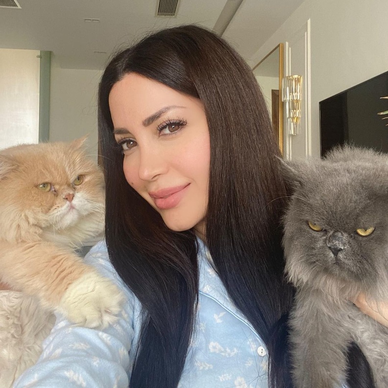 =أشهر النجوم الذين يعشقون تربية القطط