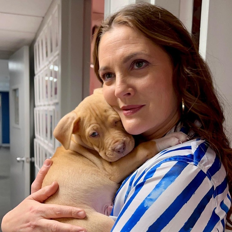 أصدقاء درو باريمور المقربين يرغبون في فشل برنامجها الحواري الجديد بسبب تأثيره السلبي على حياتها الاجتماعية