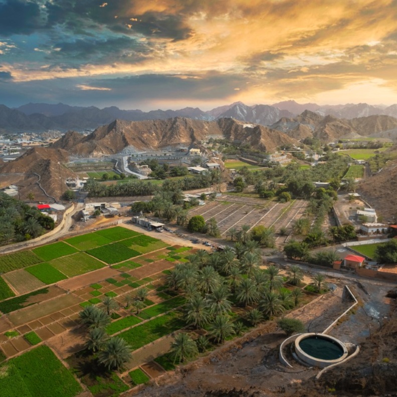 الطبيعة الساحرة في الفجيرة تأسر القلوب