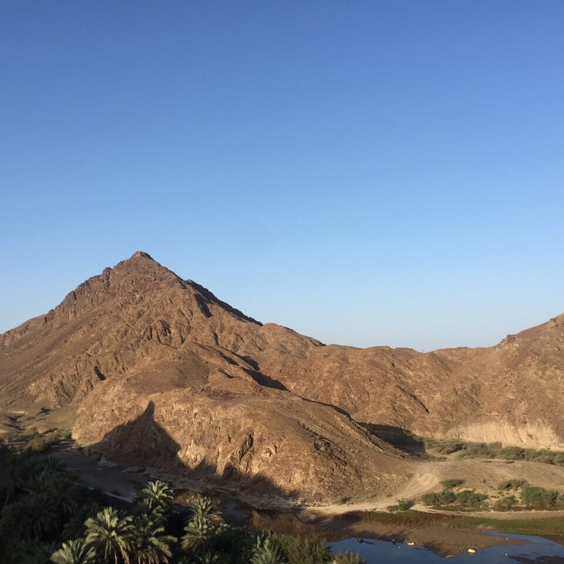 رأس الخيمة تطلق برنامجاً شاملاً للترحيب بزوارها برفقة حيواناتهم الأليفة