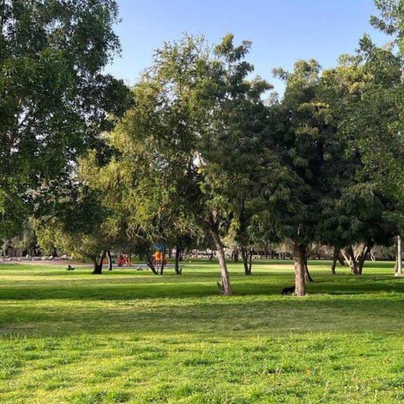 منتزه الملك فهد في نجران.. وجهتكِ المميزة للاستمتاع بالطبيعة الخلابة